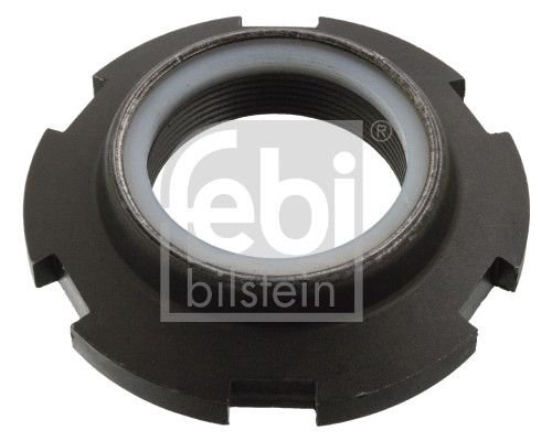 FEBI BILSTEIN 188488 Nut, kingpin