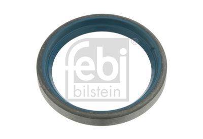 Seal Ring, steering knuckle FEBI BILSTEIN 19167