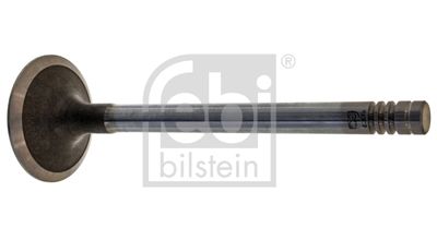 Intake Valve FEBI BILSTEIN 19302