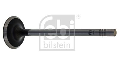 Intake Valve FEBI BILSTEIN 21000