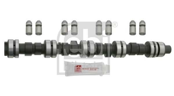 FEBI BILSTEIN 23994 Camshaft Kit