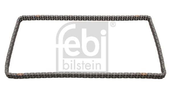FEBI BILSTEIN 25507 Timing Chain