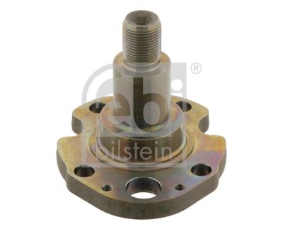 Stub Axle, axle beam FEBI BILSTEIN 30276