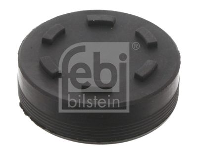 Seal Cap, camshaft FEBI BILSTEIN 32255