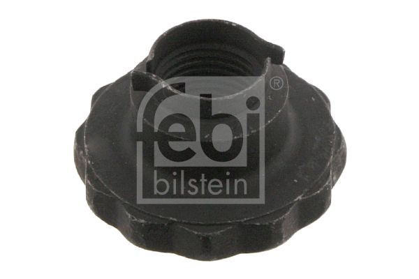 FEBI BILSTEIN 32557 Nut, kingpin