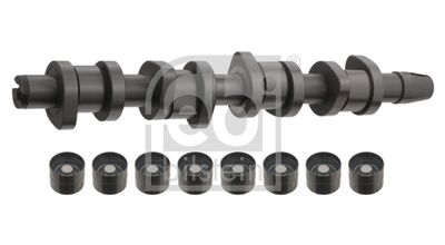 Camshaft Kit FEBI BILSTEIN 33197