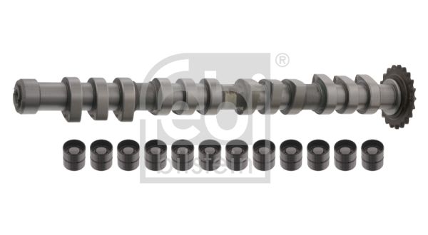 FEBI BILSTEIN 33198 Camshaft Kit