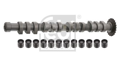 Camshaft Kit FEBI BILSTEIN 33198