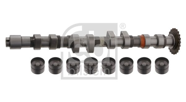 FEBI BILSTEIN 33199 Camshaft Kit