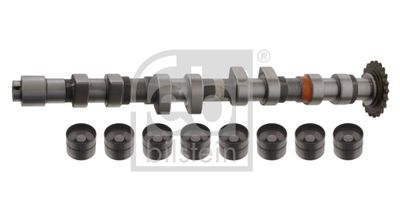 Camshaft Kit FEBI BILSTEIN 33199