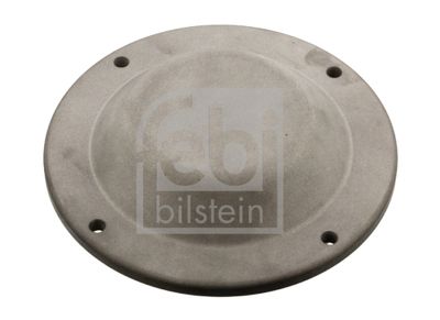 Protection Lid, wheel hub FEBI BILSTEIN 35169