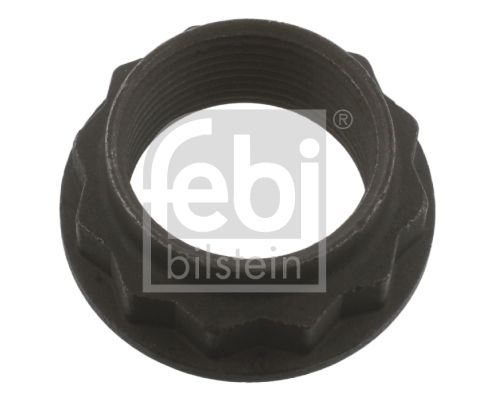 FEBI BILSTEIN 36662 Nut, input shaft (differential)