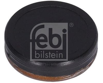 Lock Cover, timing chain tensioner (mounting hole) FEBI BILSTEIN 38327
