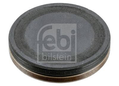 Locking Cover, camshaft FEBI BILSTEIN 38867