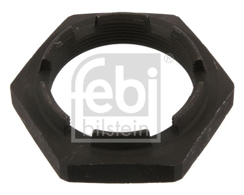 FEBI BILSTEIN 43608 Nut, kingpin
