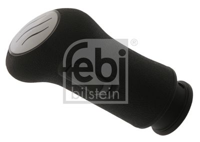 Gear Shift Lever Knob FEBI BILSTEIN 43655