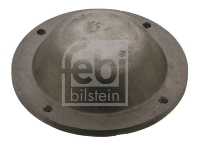 Protection Lid, wheel hub FEBI BILSTEIN 43768