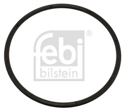 Shaft Seal, wheel hub FEBI BILSTEIN 45378
