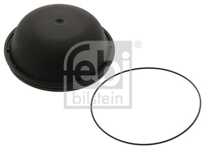 Protection Lid, wheel hub FEBI BILSTEIN 46134