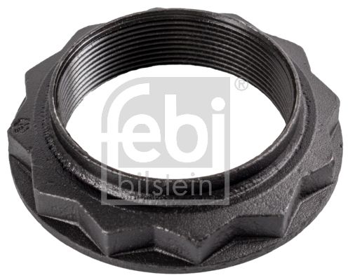 FEBI BILSTEIN 46180 Nut, kingpin