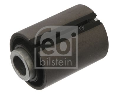 Mounting, leaf spring FEBI BILSTEIN 46181