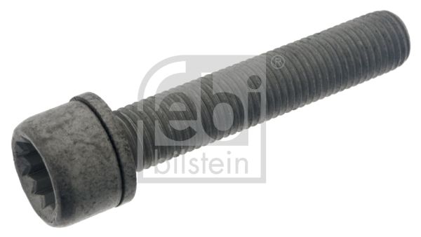 FEBI BILSTEIN 48817 Bolt, brake caliper