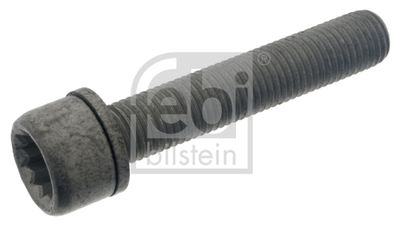 Bolt, brake caliper FEBI BILSTEIN 48817