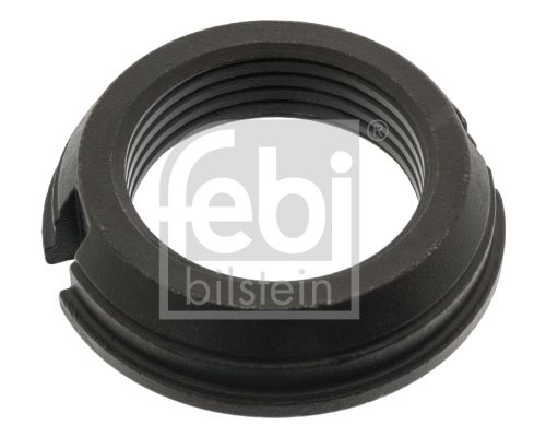 FEBI BILSTEIN 49711 Nut, input shaft (differential)