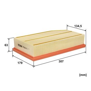 FILTRON AP 093/8 Air Filter
