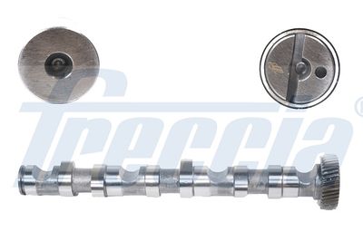 Camshaft FRECCIA CM05-2123