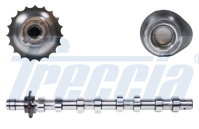Camshaft FRECCIA CM05-2146