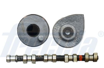 Camshaft FRECCIA CM05-2173