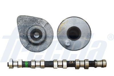 Camshaft FRECCIA CM05-2174