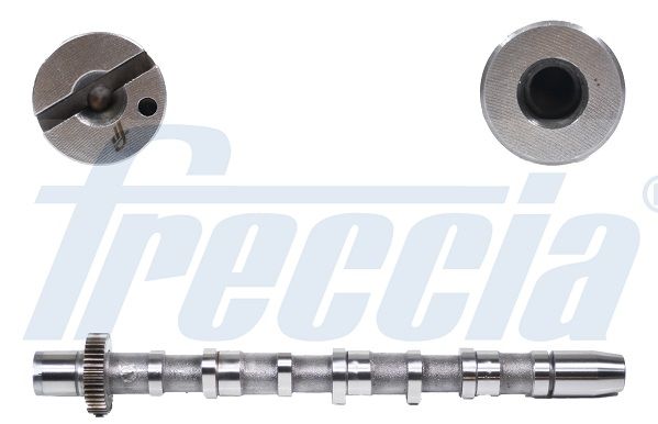 FRECCIA CM05-2189 Camshaft