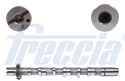 Camshaft FRECCIA CM05-2189