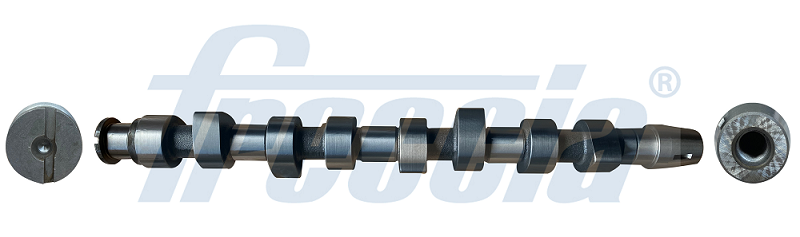 FRECCIA CM05-2219 Camshaft