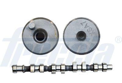 Camshaft FRECCIA CM05-2242