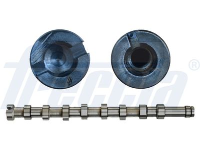 Camshaft FRECCIA CM05-2256