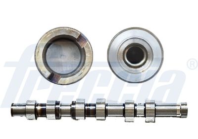 Camshaft FRECCIA CM05-2262