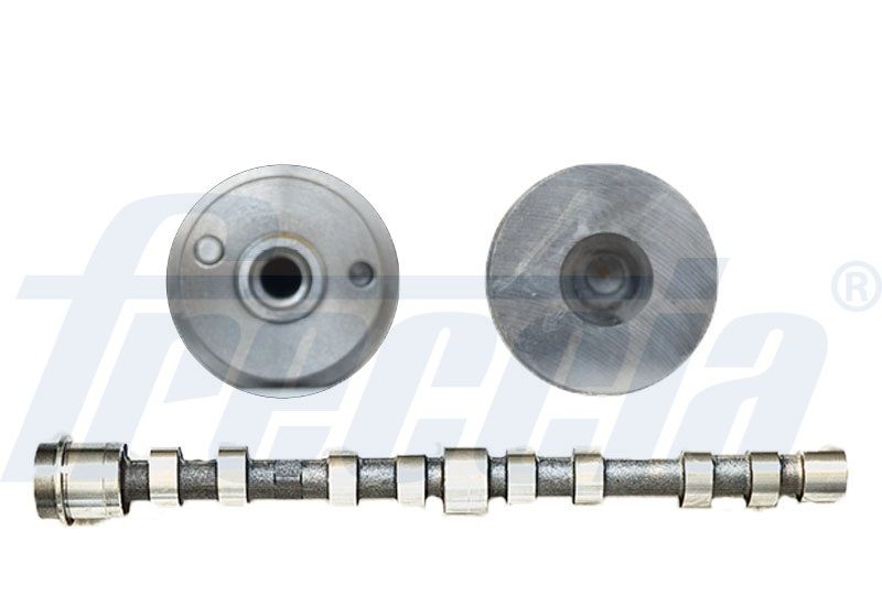 FRECCIA CM05-2273 Camshaft