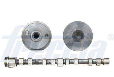 Camshaft FRECCIA CM05-2273