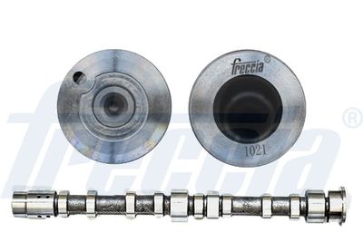 Camshaft FRECCIA CM05-2274