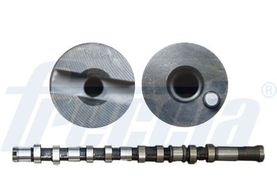 Camshaft FRECCIA CM05-2299