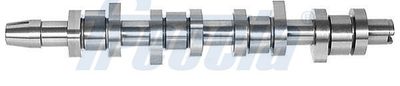 Camshaft FRECCIA CM05-2334