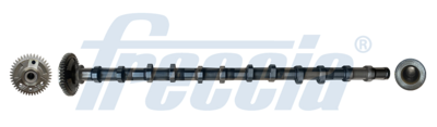 Camshaft FRECCIA CM05-2354