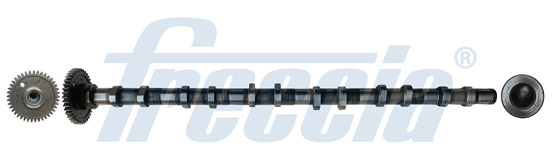FRECCIA CM05-2355 Camshaft