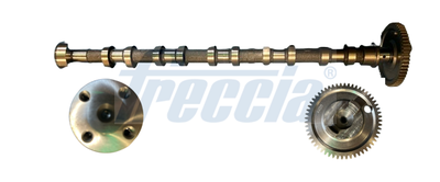 Camshaft FRECCIA CM05-2369
