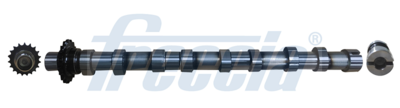 Camshaft FRECCIA CM05-2373