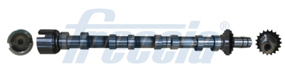 Camshaft FRECCIA CM05-2374