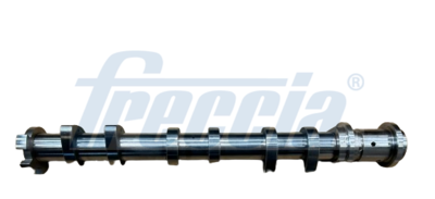 Camshaft FRECCIA CM05-2421